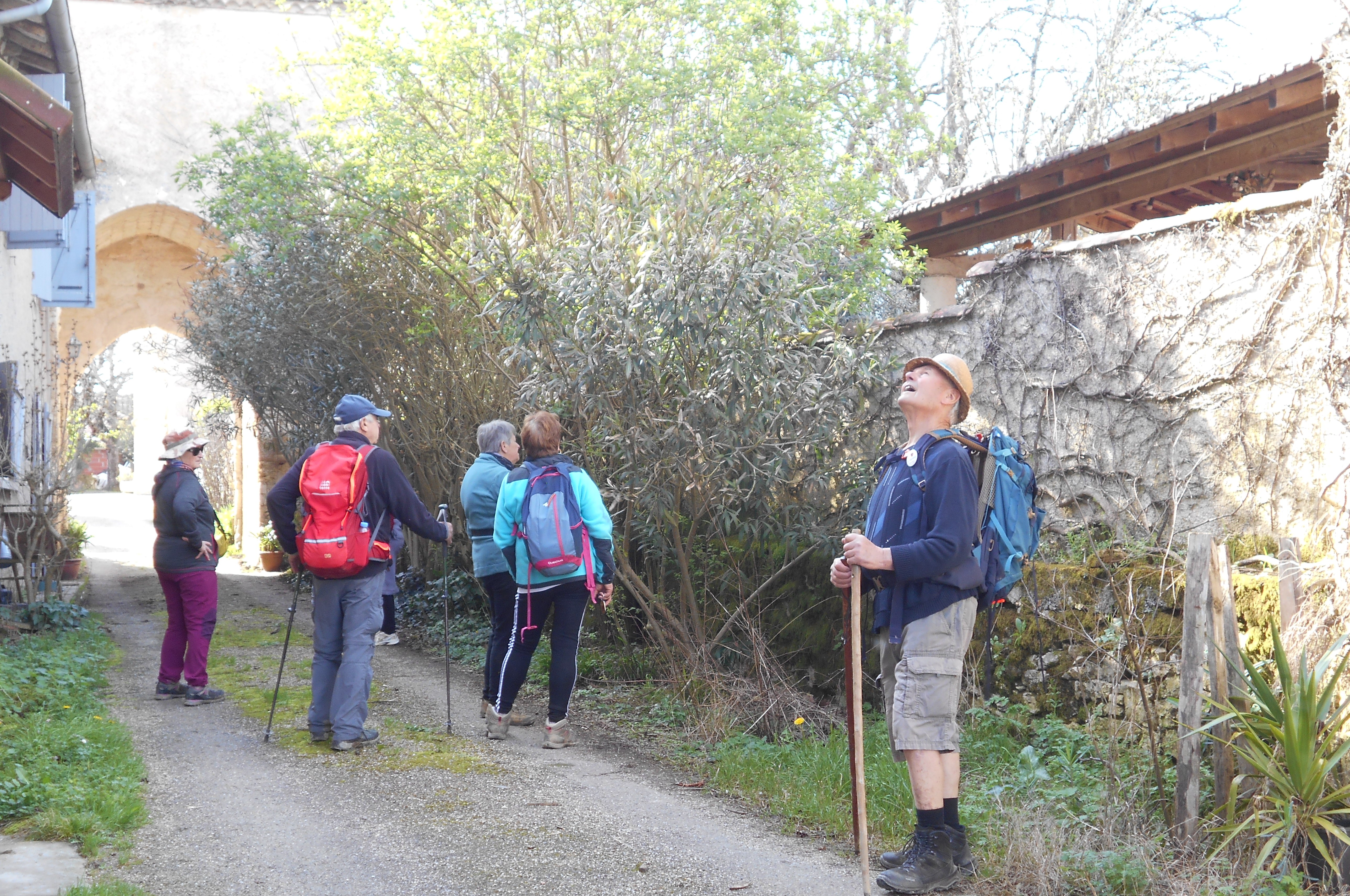 Rando douce Bezolles