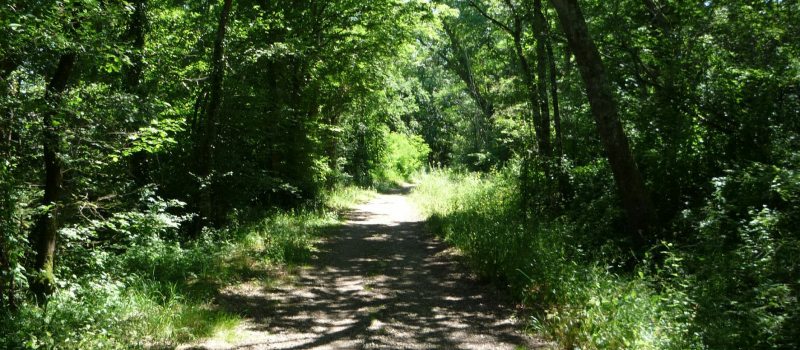 Voie verte de l’Armagnac : lancement des travaux pour finaliser la liaison