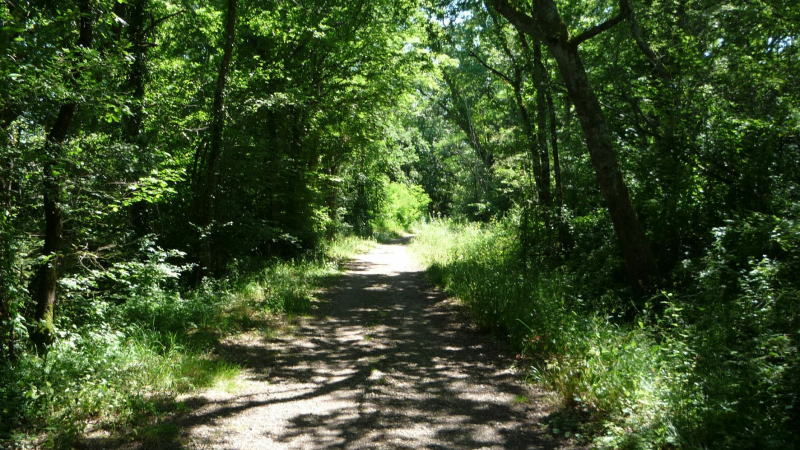 Voie verte de l’Armagnac : lancement des travaux pour finaliser la liaison