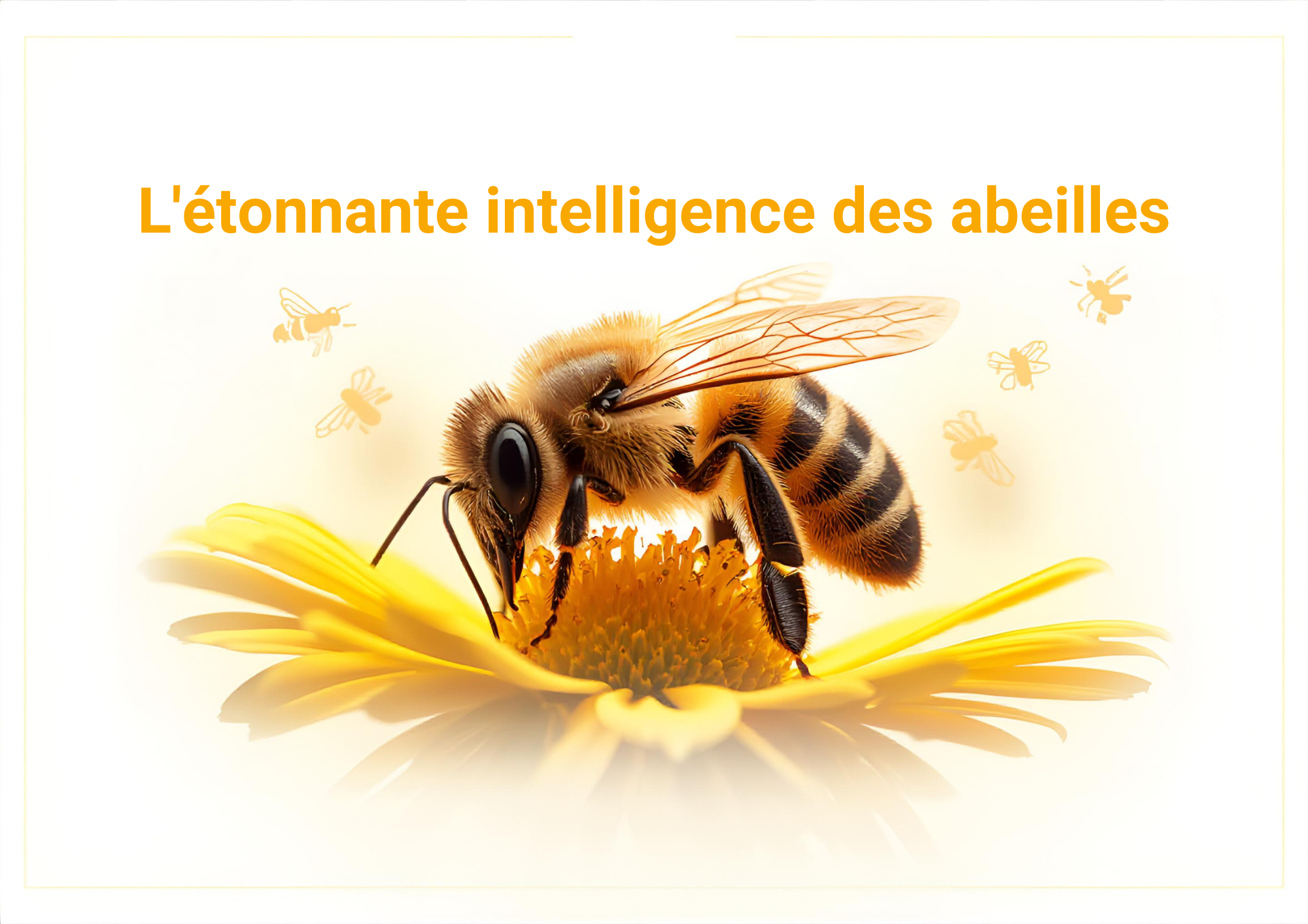 L'étonnante intelligence des abeilles.png