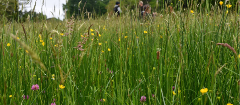 Concours  des pratiques agroécologiques dans le Gers : ouverture des candidatures