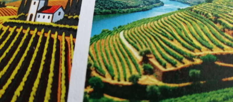 A la découverte des vignobles Jerez, Porto et Madère.