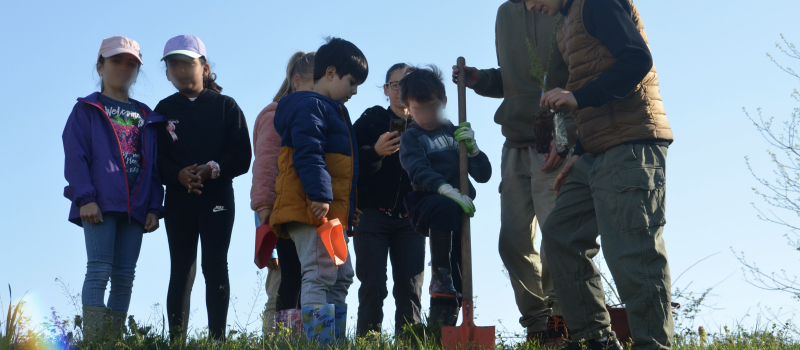 La forêt s’invite à l’école