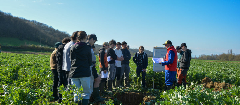 Les activités de la semaine au campus La Salle  Saint Christophe
