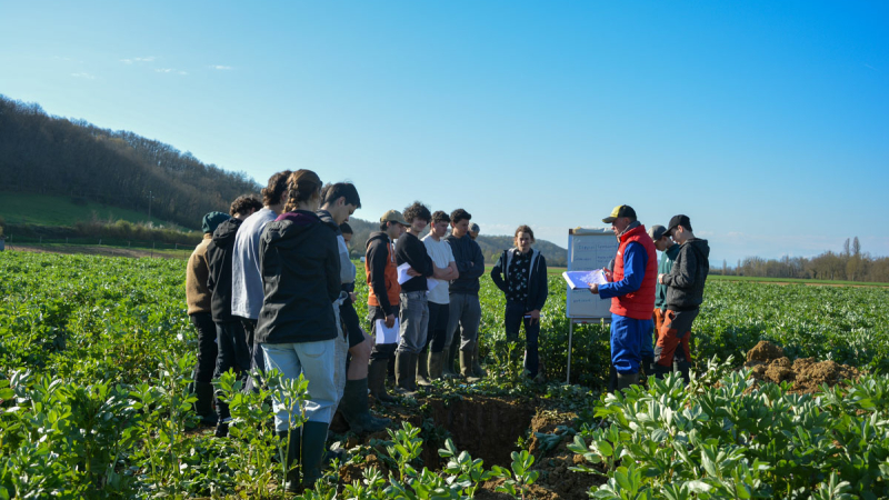 Les activités de la semaine au campus La Salle  Saint Christophe