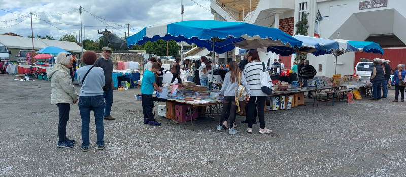 Le traditionnel vide-grenier des arènes, c'est dimanche prochain !