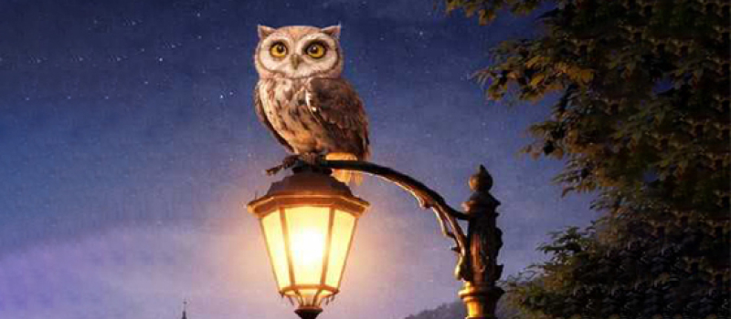 Les lumières de la ville