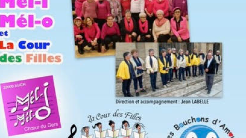 Meli Melo en concert caritatif pour "Les Bouchons d'Amour"