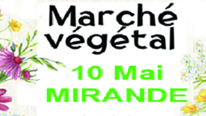 Marché végétal de Mirande