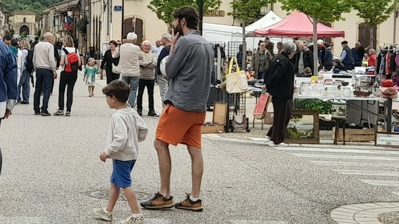 Marché aux plantes et vide greniers