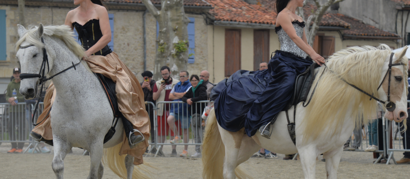 La Fête du cheval 2026 entre tradition et renouveau