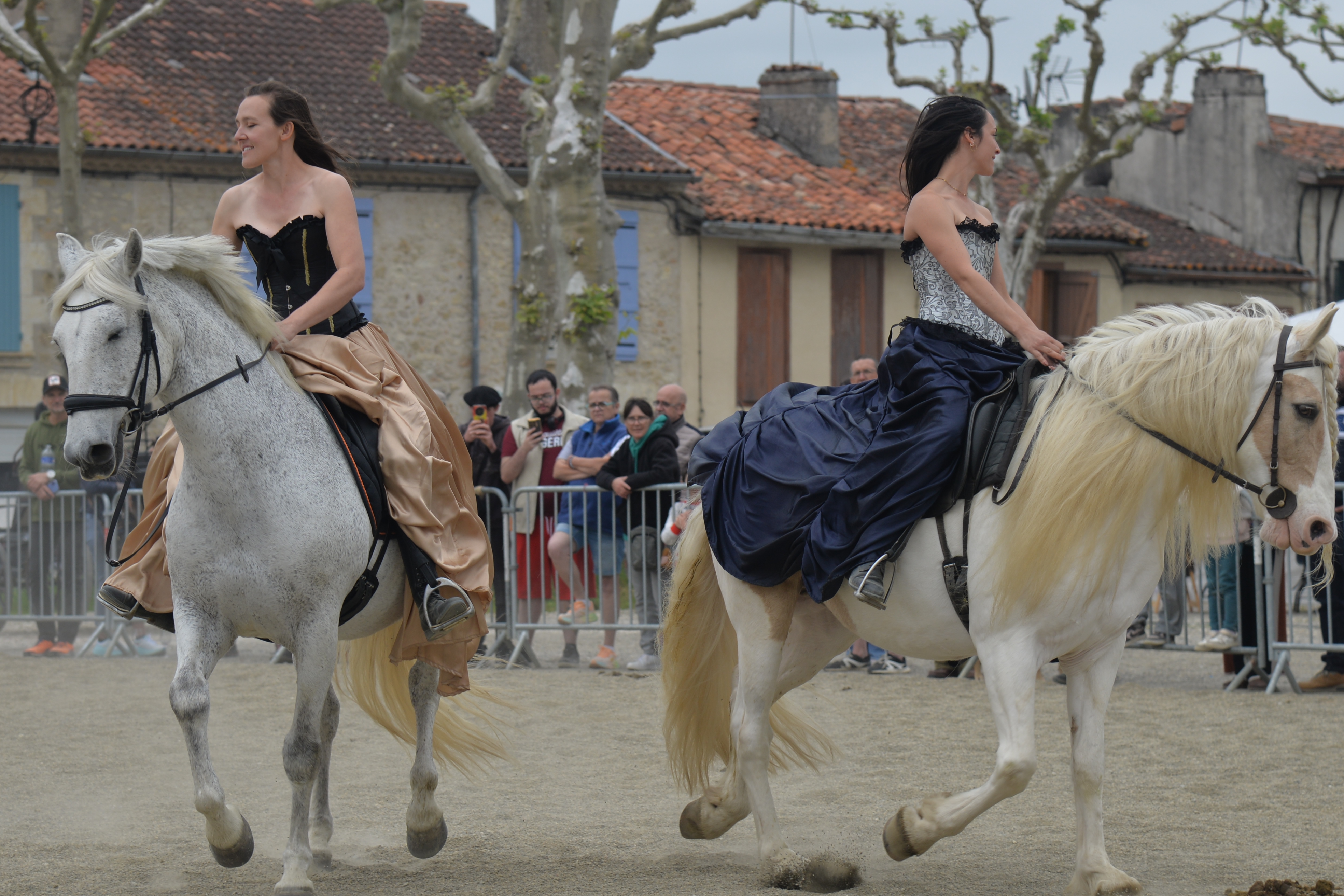 La compagnie Equivolt