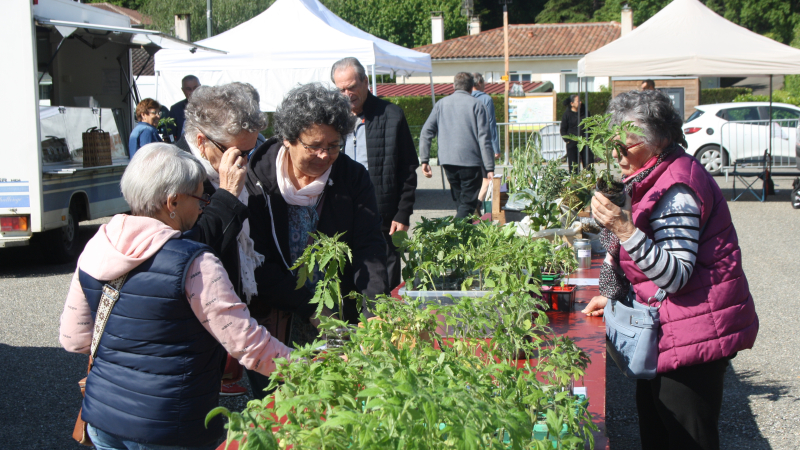 Troc de graines et plants au marché de Pavie