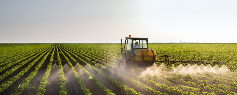 Les engrais dans l'agriculture