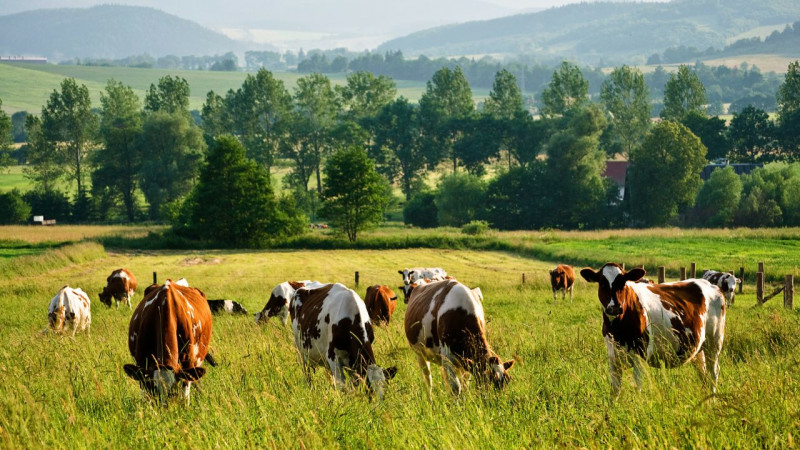 PJLUA : l’Assemblée nationale choisit l’agro-industrie au détriment de la majorité des paysan·nes