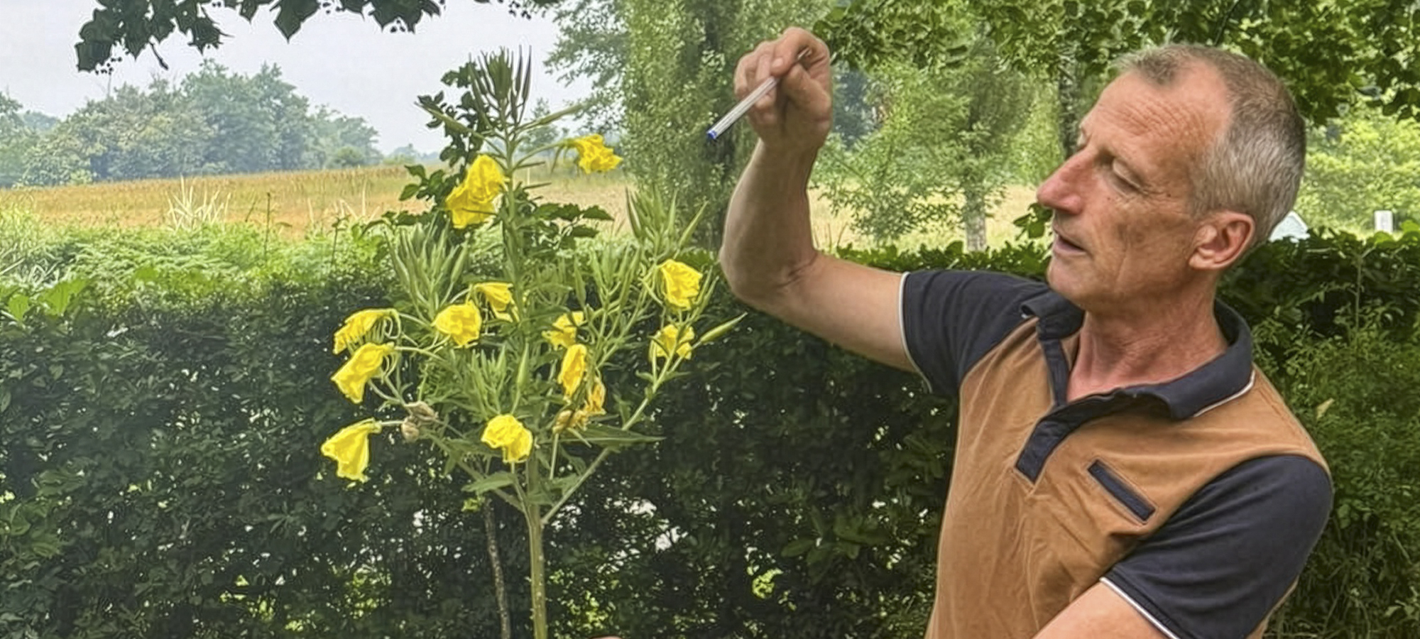 Jean-Pierre Vignolles, jardinier paysagiste  (Photo communiquée par le Musée