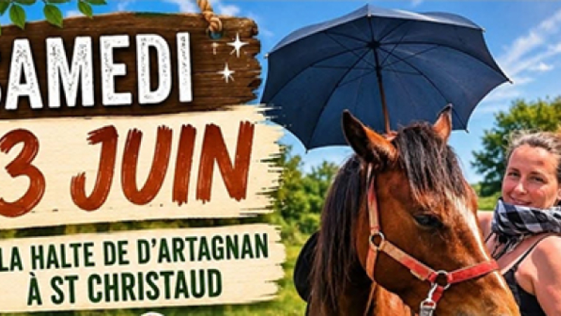 spectacles et animations variés