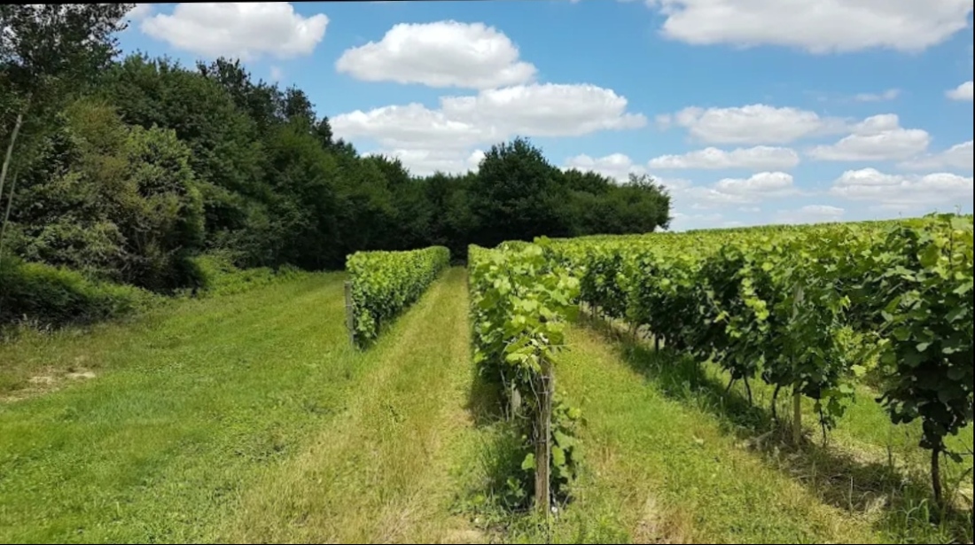 Le Domaine de Burosse