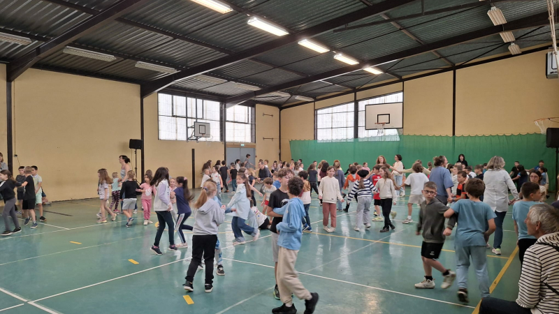 Une journée pour faire vivre la langue et la culture occitanes à l’école