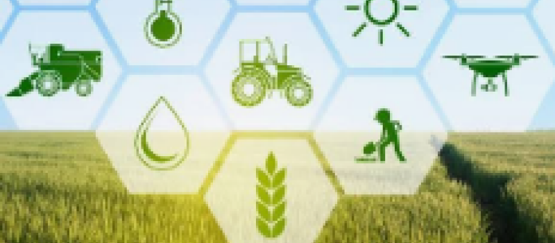 Agriculture : comment peut-on continuer à fermer les yeux ?