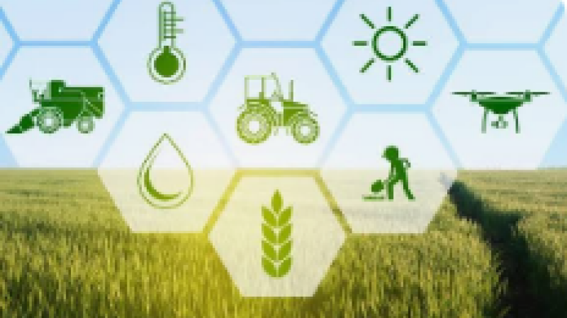 Agriculture : comment peut-on continuer à fermer les yeux ?
