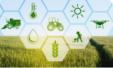 AGRICULTURE