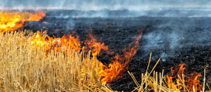 Feux de récoltes sur pied et feux de chaumes : les consignes des sapeurs-pompiers du Gers pour les agriculteurs