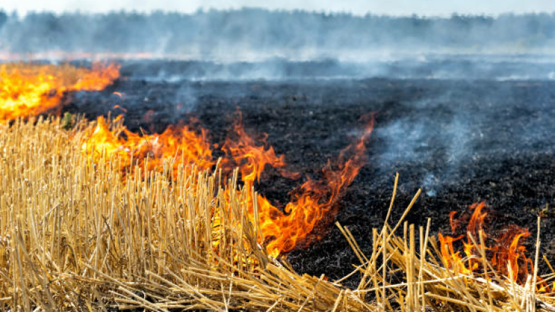 Feux de récoltes sur pied et feux de chaumes : les consignes des sapeurs-pompiers du Gers pour les agriculteurs