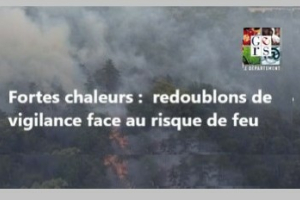 Gers feu