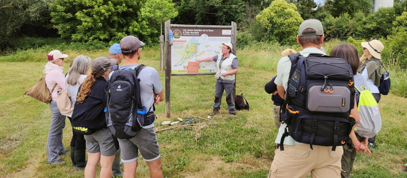 Immersion au cœur de la zone humide