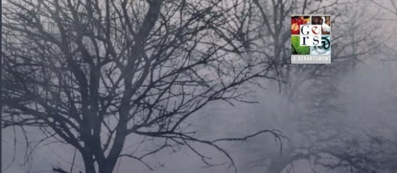 Feux de forêt : adoptons les bons réflexes