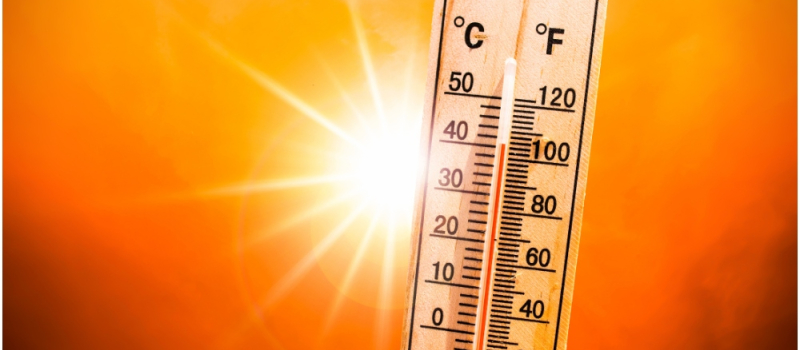 Passage en vigilance rouge « canicule extrême » et mesures préfectorales de restriction