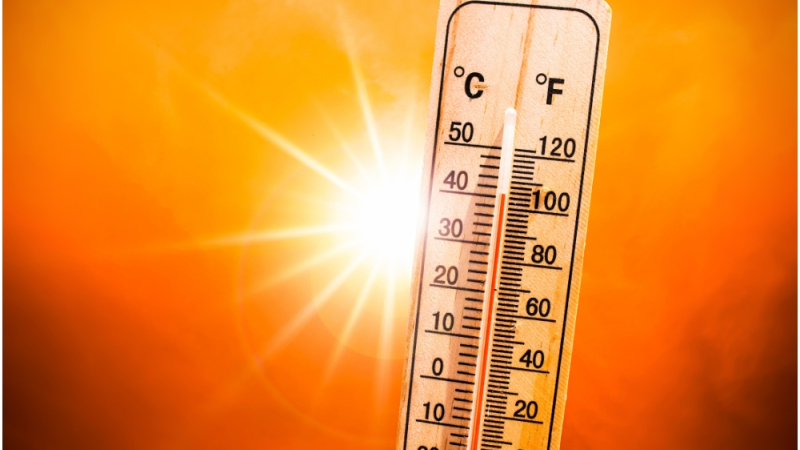 Passage en vigilance rouge « canicule extrême » et mesures préfectorales de restriction