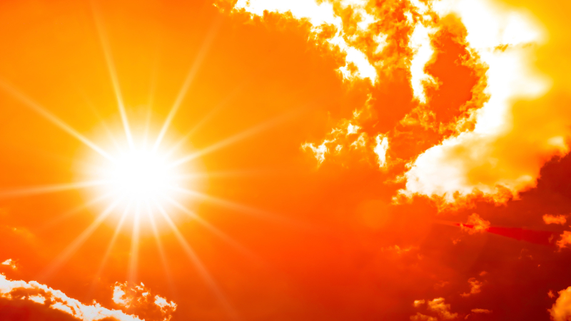 Alerte canicule : organisation de l'école élémentaire
