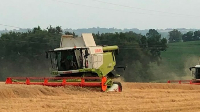 Moissons de l'été