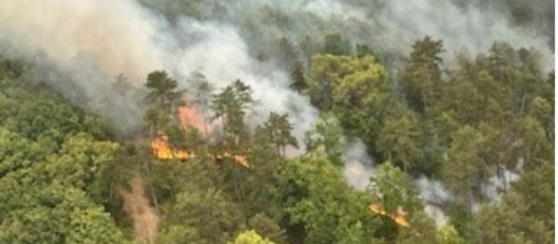 Canicule et risque d'incendie : le Conseil départemental du Gers ferme l'accès à ses massifs forestiers