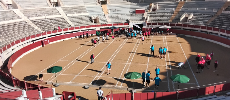 La boule lyonnaise entre dans l'arène