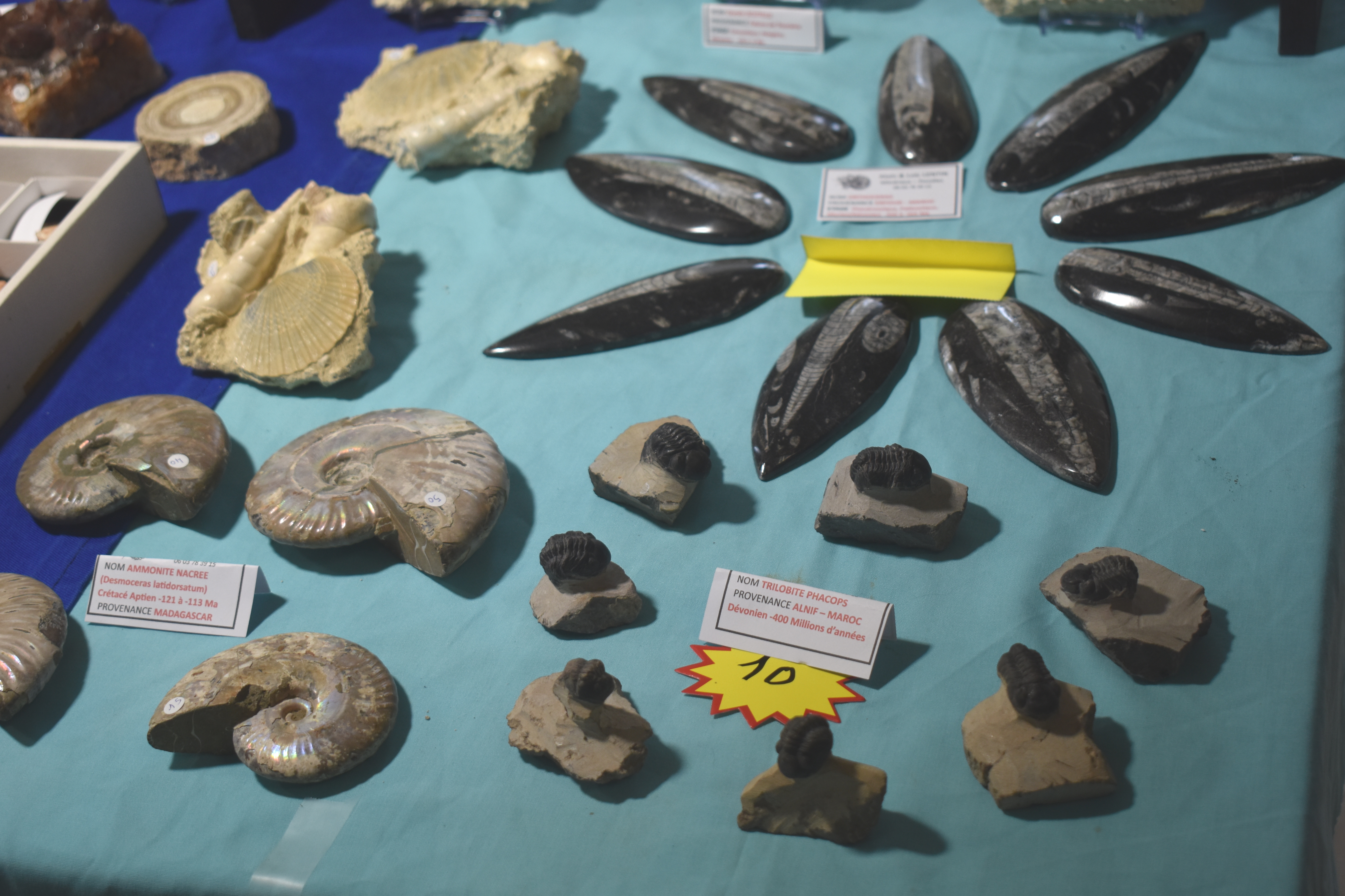 DSC_0011 - Copie (55).JPG