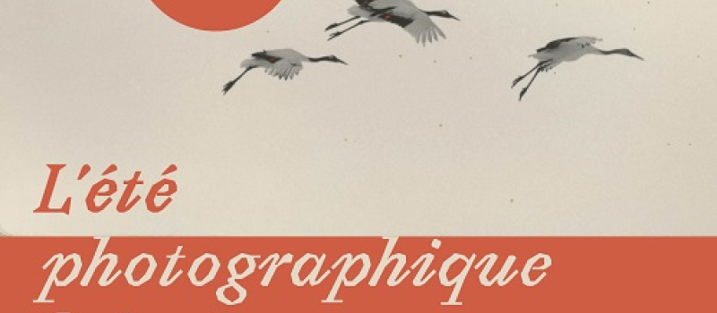 L'été photographique de Lectoure : "Au ras du réel "