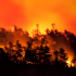 Maintien des mesures de restriction des activités en forêt pour limiter le risque d’incendie