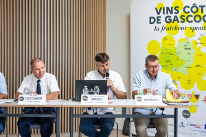 Éauze : les vins des Côtes de Gascogne font le point