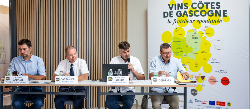 Éauze : les vins des Côtes de Gascogne font le point