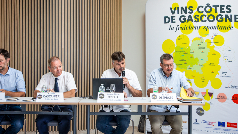 Éauze : les vins des Côtes de Gascogne font le point