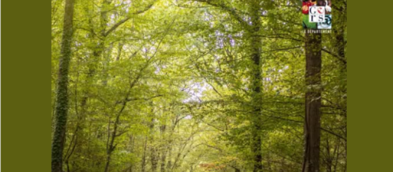 Vigilance orange « feux de forêt » ce lundi 6 juillet.