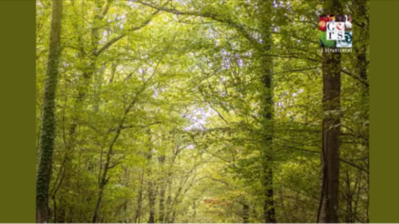 Vigilance orange « feux de forêt » ce lundi 6 juillet.