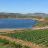 Les Chambres d'agriculture tirent la sonnette d'alarme sur les réductions d'irrigation dans le bassin de l'Adour
