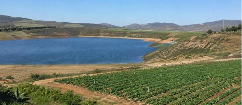 Les Chambres d'agriculture tirent la sonnette d'alarme sur les réductions d'irrigation dans le bassin de l'Adour