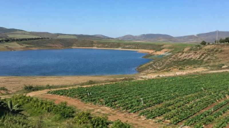 Les Chambres d'agriculture tirent la sonnette d'alarme sur les réductions d'irrigation dans le bassin de l'Adour