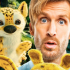 "Marsupilami" vendredi soir au pied du château de Lagardère