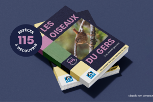 La LPO Gers lance un financement participatif pour publier le premier livre consacré aux oiseaux du département